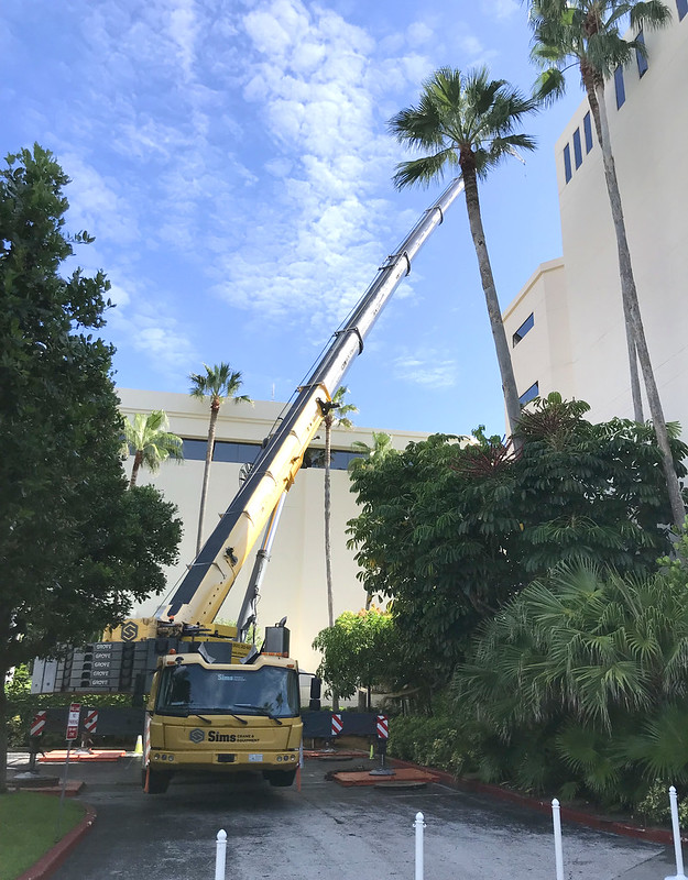 Crane Rental Mulberry FL 1