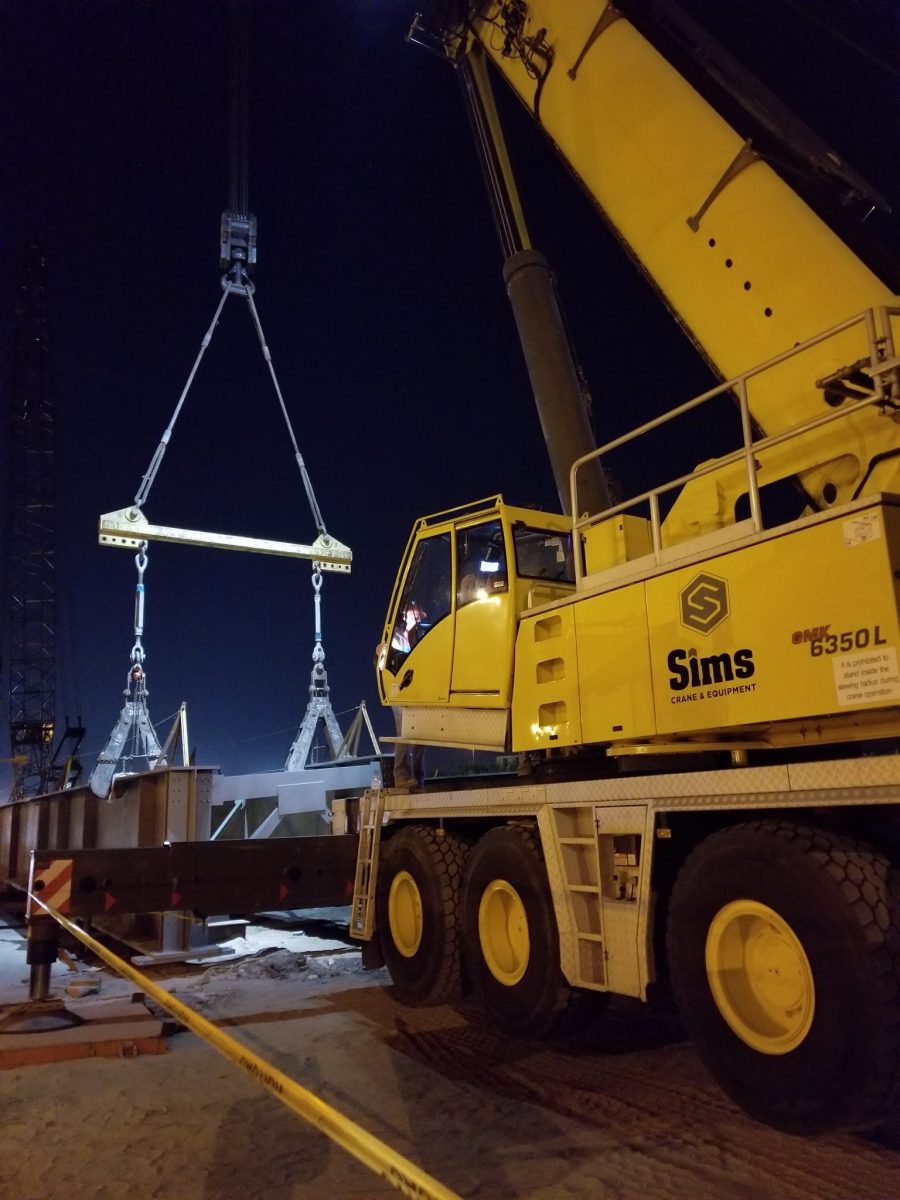 sims crane lifting