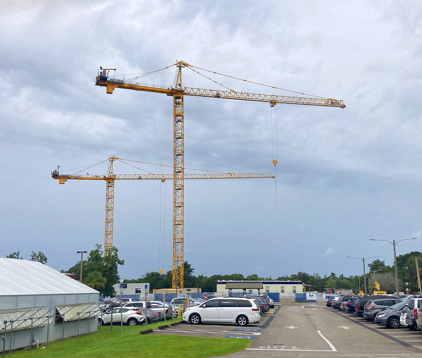 how do tower cranes grow