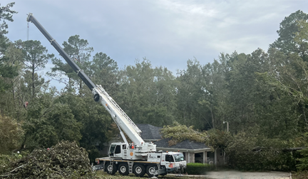 sims crane disaster relief image